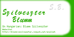 szilveszter blumm business card